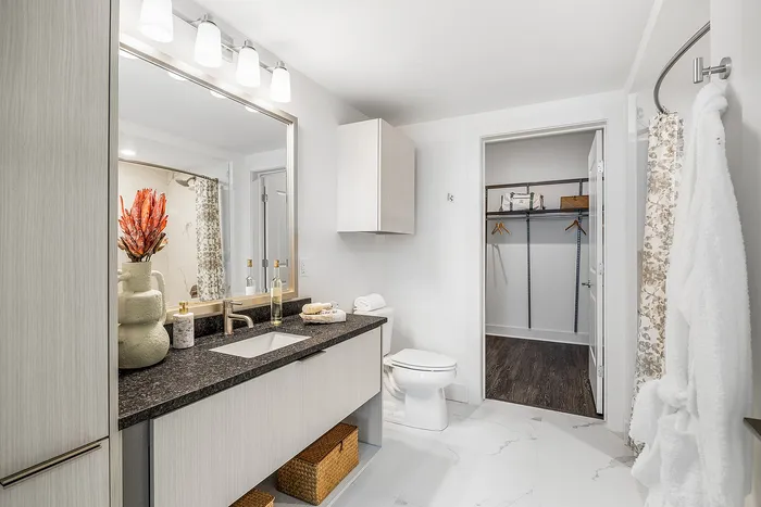 Elegant modern bathroom with sleek countertop, stylish fixtures, and a spacious walk-in closet.
