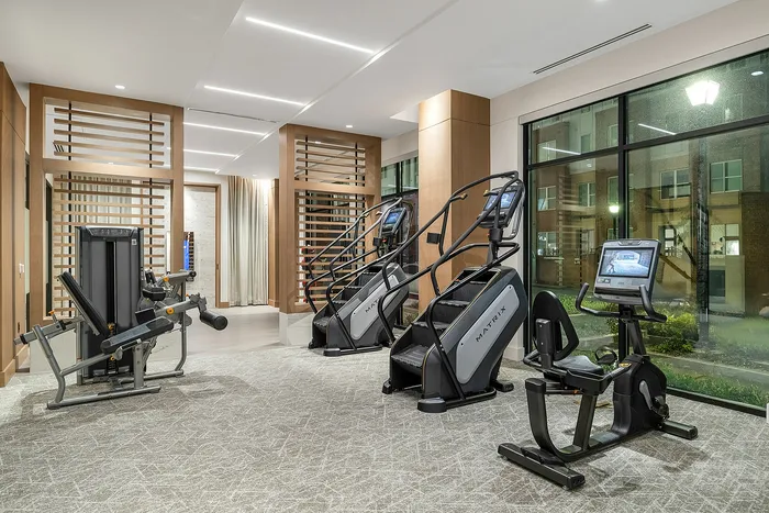 Contemporary fitness center with state-of-the-art exercise equipment, sleek wood finishes, and large windows providing natural light.