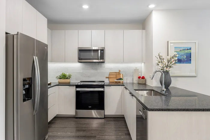 Modern kitchen with sleek stainless steel appliances, elegant cabinetry, and a stylish marble backsplash.