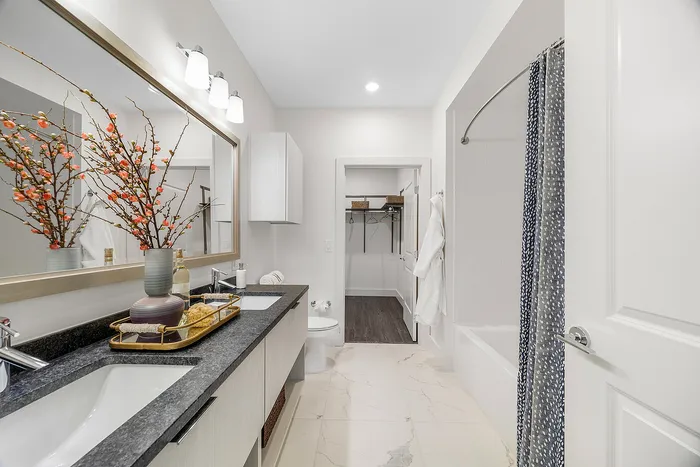 Luxurious bathroom showcasing elegant d&eacute;cor, dual sinks, stylish vanity, and spacious walk-in closet in modern apartment.