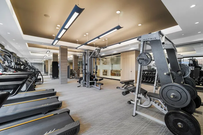 Modern fitness center with state-of-the-art equipment, featuring treadmills, weight machines, and a sleek design, perfect for an active lifestyle.