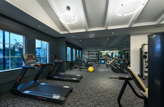 Modern fitness center with state-of-the-art equipment, including treadmills, weight racks, and exercise balls, illuminated by stylish lighting and featuring large windows for natural light.