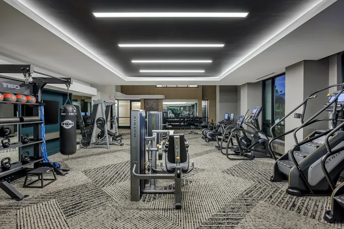 Modern fitness center equipped with state-of-the-art exercise machines, free weights, and a punching bag, offering a sleek and spacious workout environment.