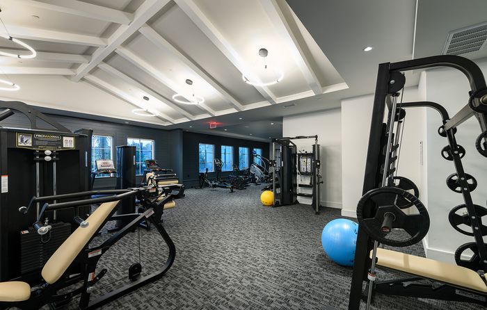Modern fitness center featuring state-of-the-art weight machines, cardio equipment, and glossy circular lighting for an energetic workout atmosphere.