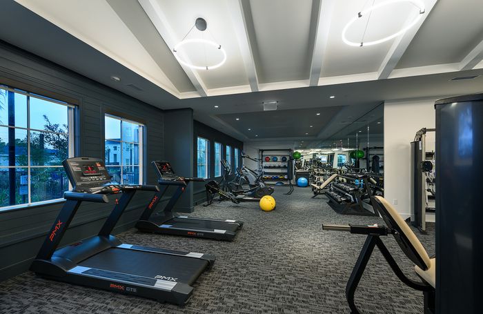 Modern fitness center with state-of-the-art equipment, treadmill stations, free weights, and large windows offering natural light.