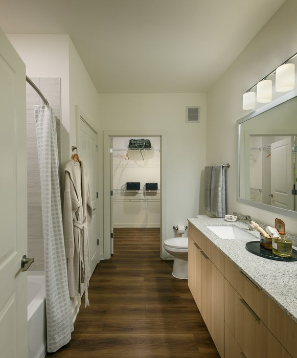 Elegant bathroom with hardwood floors, modern vanity, and spacious walk-in closet, creating a luxurious retreat.
