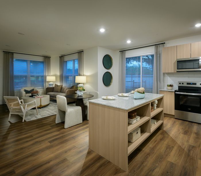 Contemporary open-concept living area with elegant kitchen, cozy seating, and stylish decor, featuring hardwood floors and natural light.