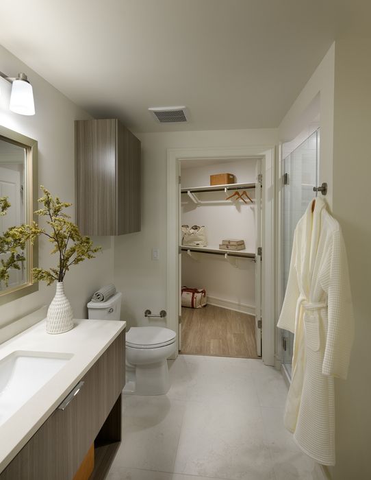 Elegant bathroom with a sleek vanity, modern decor, and convenient walk-in closet access.