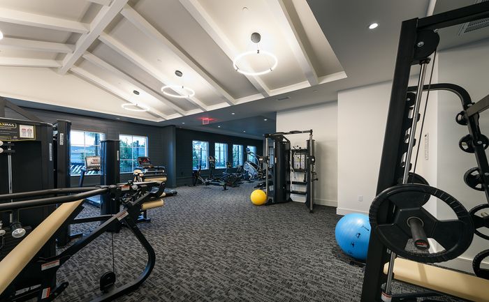 Modern gym with high-end fitness equipment and natural lighting, perfect for your workout routine.