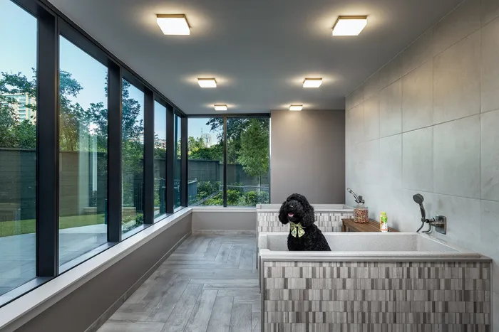 Modern pet-friendly apartment washroom featuring elegant tiled dog bathing stations and large windows with garden views.