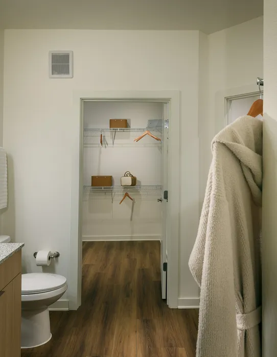 Elegant bathroom with modern fixtures, featuring a spacious walk-in closet and stylish wooden flooring.