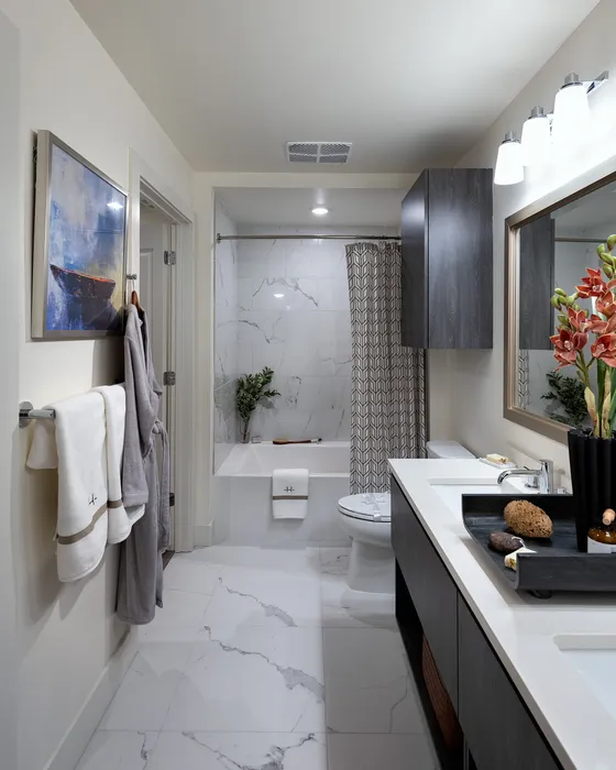 Elegant bathroom featuring a modern vanity, luxurious marble flooring, and a stylish bathtub with sophisticated decor.