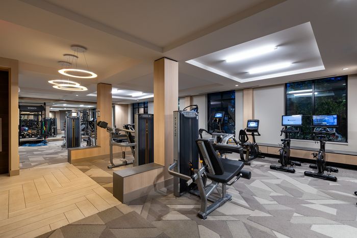 Modern gym with sleek exercise equipment, stylish lighting, and large windows for a bright workout atmosphere.