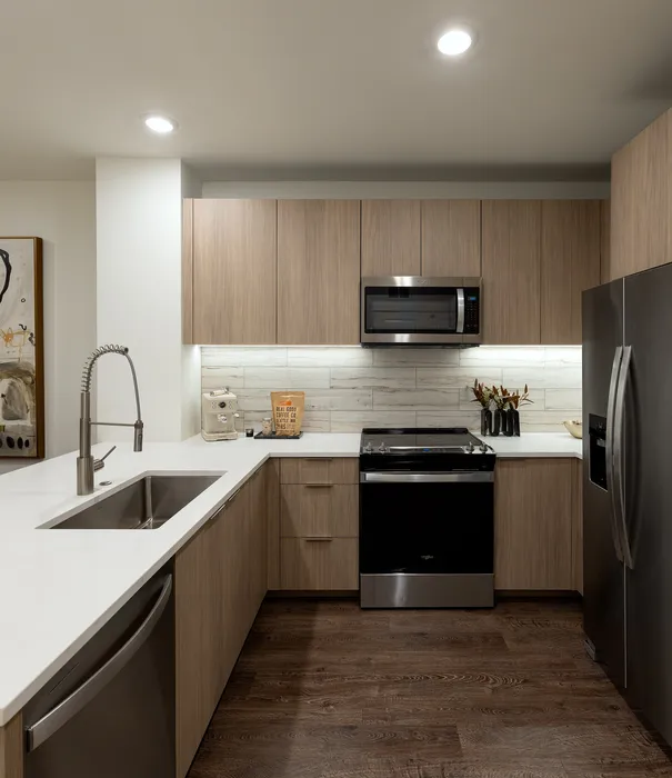 Modern Kitchen