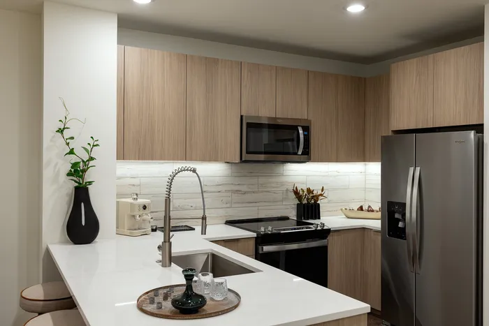 Modern Kitchen