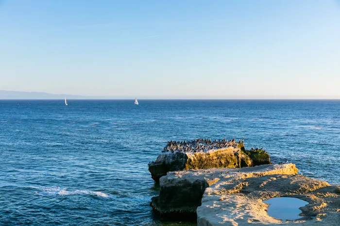 Ocean