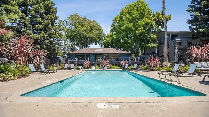 ReNew One59 Pool and Sundeck