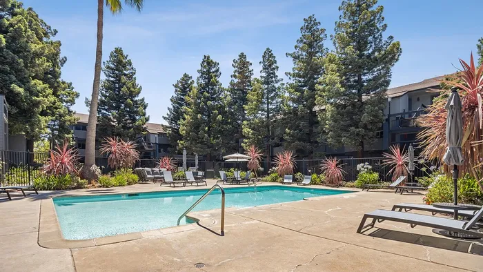 ReNew One59 Pool area with lounge chairs and Privacy from Mature Trees