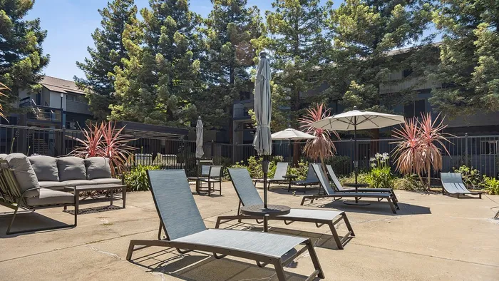 ReNew One59 Poolside lounge chairs and couches
