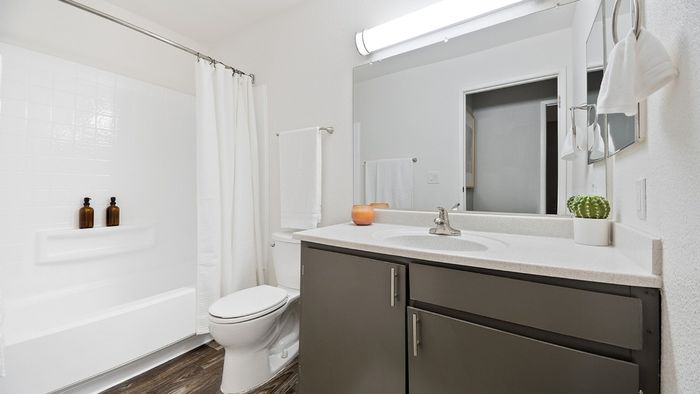 ReNew One59 Bathroom with one sink with grey cabinetry, shower, and toilet