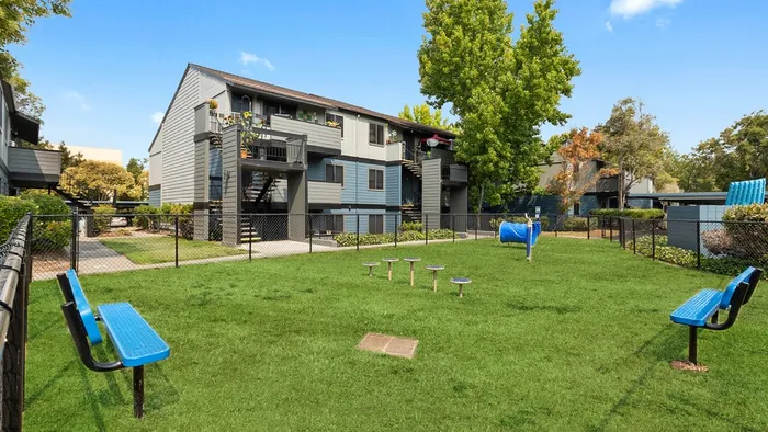 ReNew One59 Dog park with Training Obstacle Course