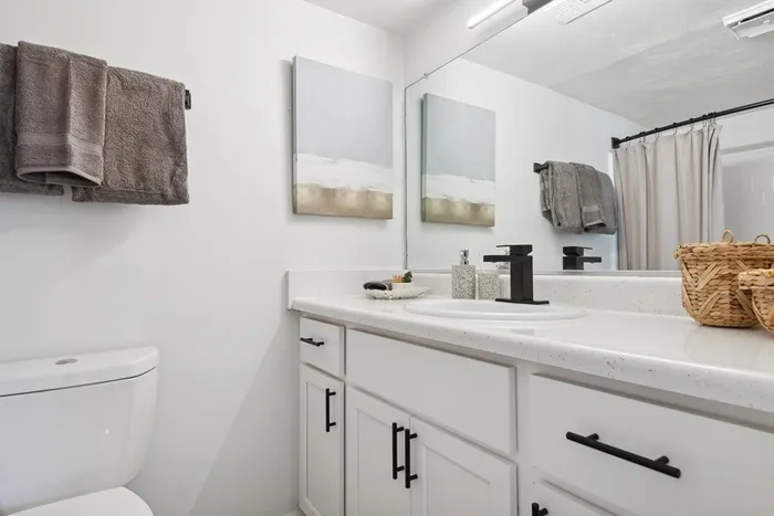 ReNew Virginia Beach bathroom with white cabinetry and updated matte black fixtures