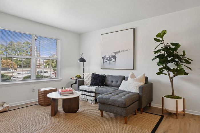 ReNew Virginia Beach living room with modern furniture