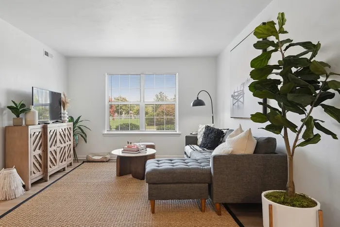 Living room at ReNew Virginia Beach with plant, sectional sofa, and modern coffee table