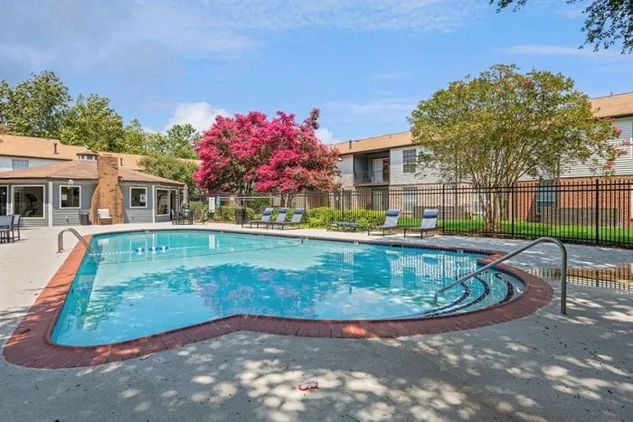 Sparkling swimming pool at ReNew Virginia Beach surrounded by lush trees