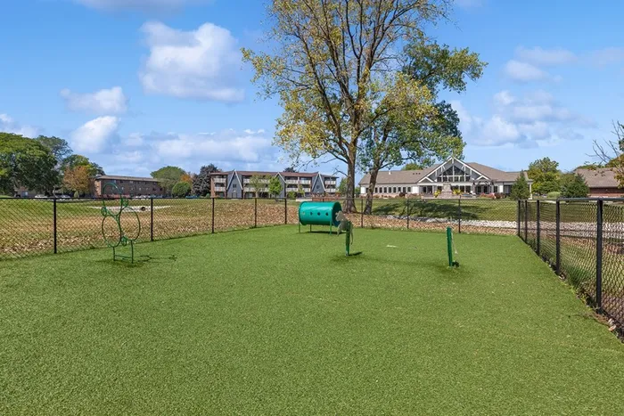 dog park