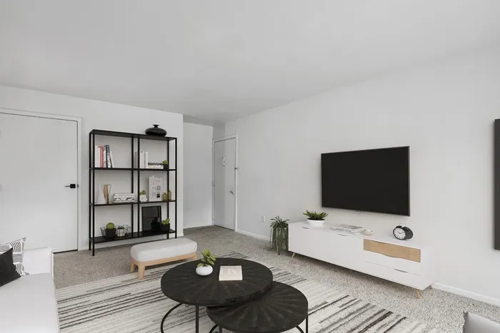 furnished living room