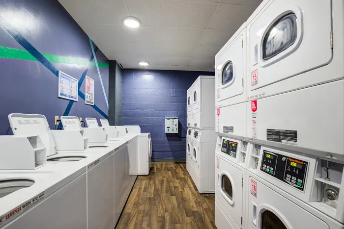 Spacious and modern laundry room with multiple washing machines and dryers in a sleek design.