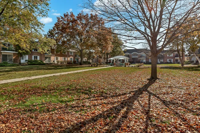ReNew on Naper
