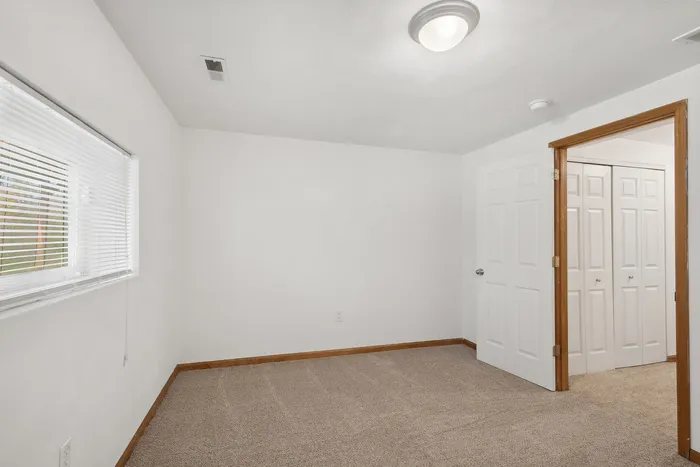 Inviting empty bedroom with plush carpeting, white walls, and ample natural light from a large window.