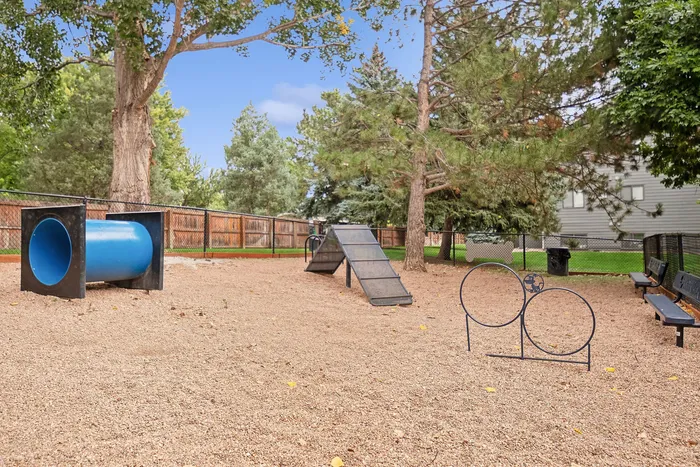 ReNew Foothills Inviting dog park with agility equipment, including tunnels and ramps, set amidst lush greenery.