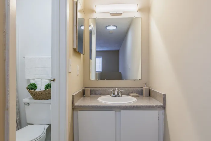 Elegant bathroom featuring a sleek countertop, mirror, and stylish lighting.