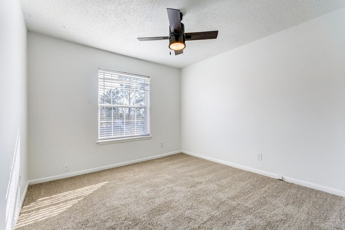 Bright and inviting bedroom at ReNew on Cantrell featuring soft carpet flooring, large window with a serene view, and a sleek ceiling fan for modern comfort.