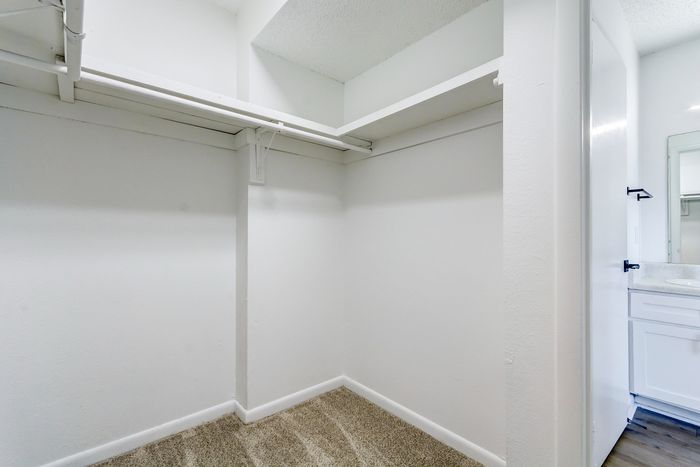 Spacious walk-in closet at ReNew on Cantrell with plush carpeting and white shelving, adjacent to a modern bathroom.