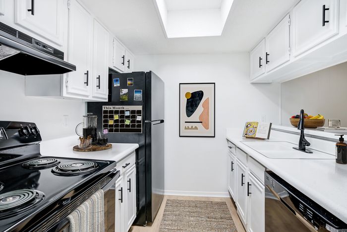 Chic modern kitchen with sleek black appliances, white cabinetry, and stylish decor, accented by natural light from skylight.