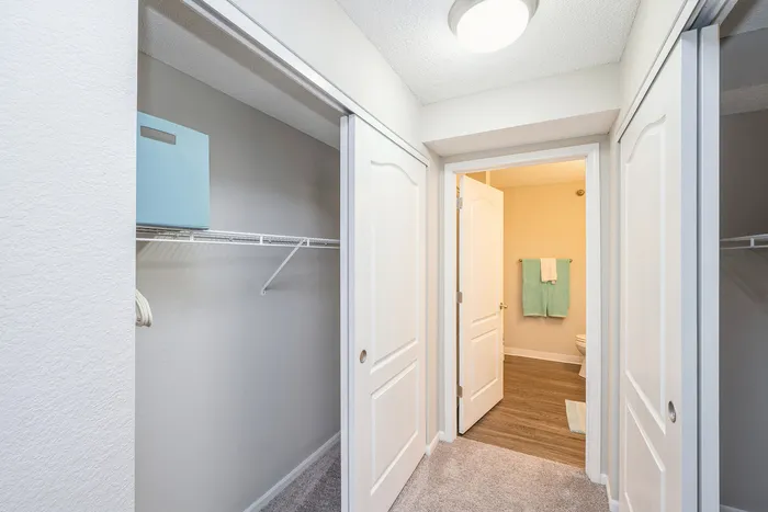 Inviting apartment with a spacious walk-in closet, featuring contemporary design and cozy carpet flooring.