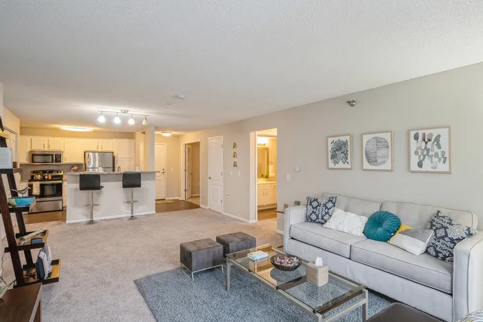 Bright and modern open-concept living area with a stylish kitchen, comfortable seating, and elegant decor.
