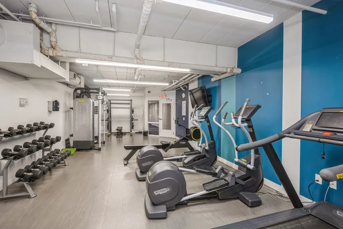 Modern fitness center equipped with state-of-the-art gym equipment, including dumbbells, treadmills, and elliptical machines against a vibrant blue accent wall.