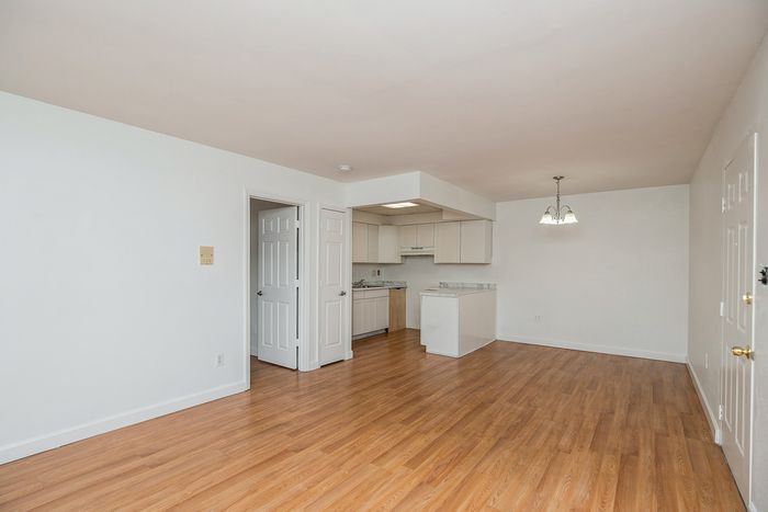 Bright and inviting open-concept apartment with elegant wood flooring, a compact yet modern kitchen, and stylish lighting fixtures.