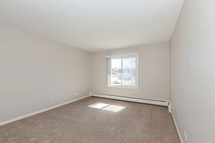 Bright and inviting empty room with large window, plush carpet, and neutral walls, perfect for customization.
