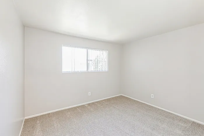 Bright and inviting empty room with plush carpet and a large window, perfect for customization and natural light.