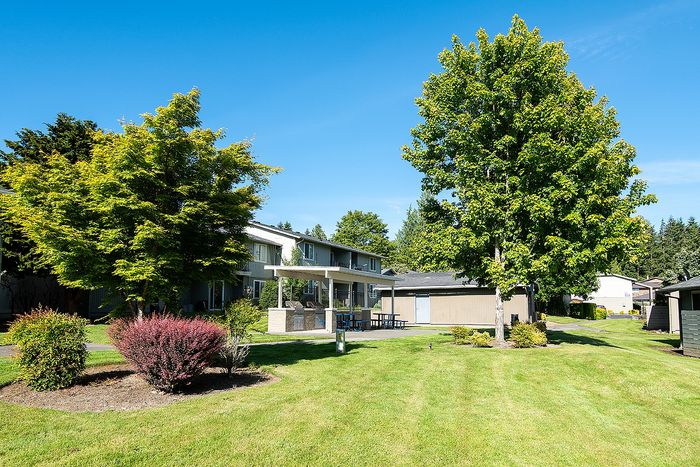 Charming apartment complex surrounded by lush greenery and vibrant trees, featuring a spacious outdoor patio and picnic area under clear blue skies at ReNew Dash Point.