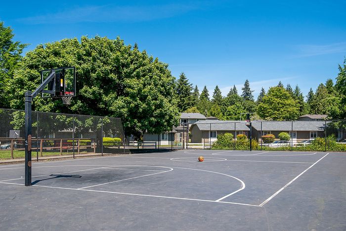 Inviting outdoor basketball court surrounded by lush greenery, perfect for sports enthusiasts seeking leisure and relaxation at ReNew Dash Point.