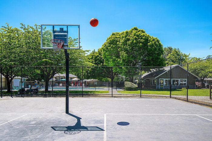 Inviting outdoor basketball court surrounded by lush greenery and residential amenities, perfect for sports enthusiast at ReNew Dash Point.