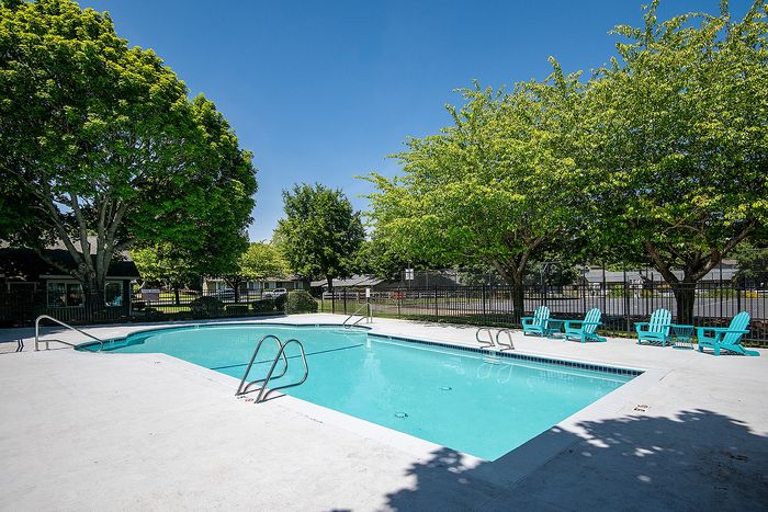 Inviting outdoor pool area surrounded by lush green trees, offering a relaxing retreat with vibrant blue lounge chairs and clear skies at ReNew Dash Point.