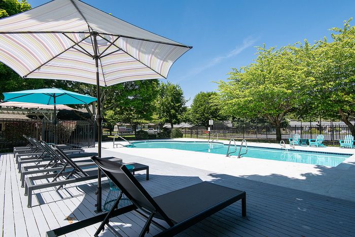 ReNew Dash Point's inviting community pool area with comfortable lounge chairs, vibrant umbrellas, and lush greenery under a clear blue sky.